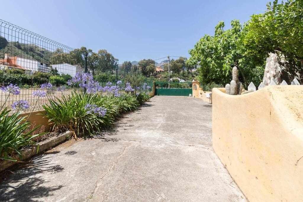 Villa Ojuelos Gran Canaria Vega de San Mateo Exteriör bild